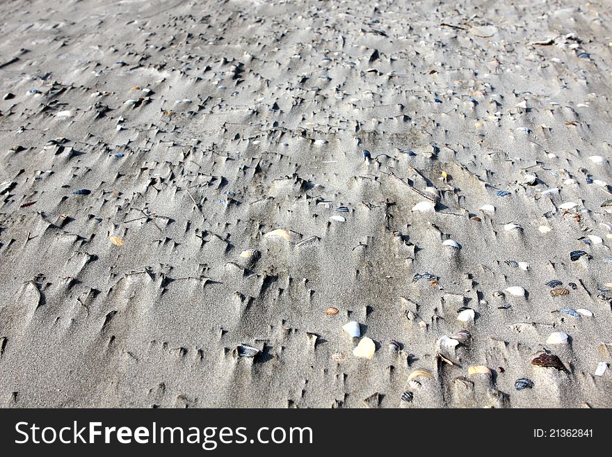 Texture Of Sand And Shells