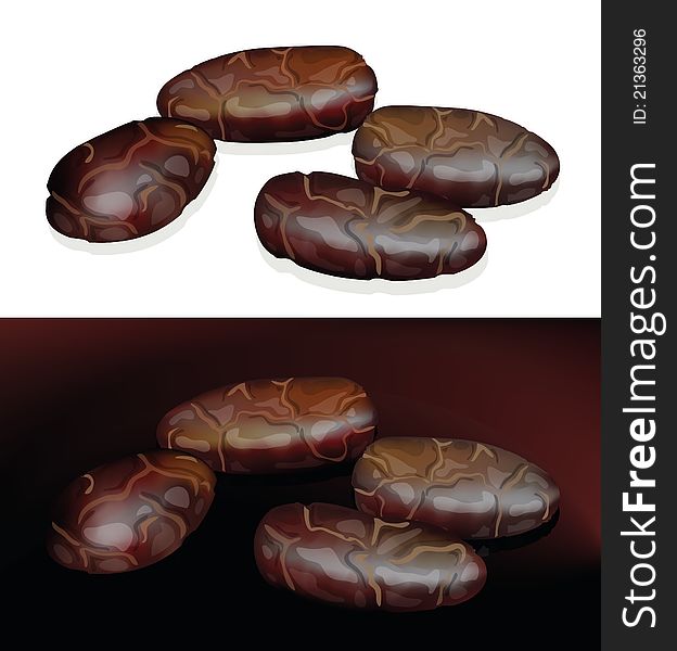 Cacao Beans. Illustration on white and dark background.