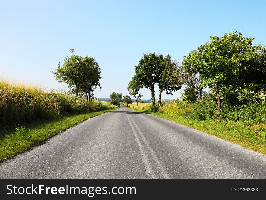 Road in the countryside