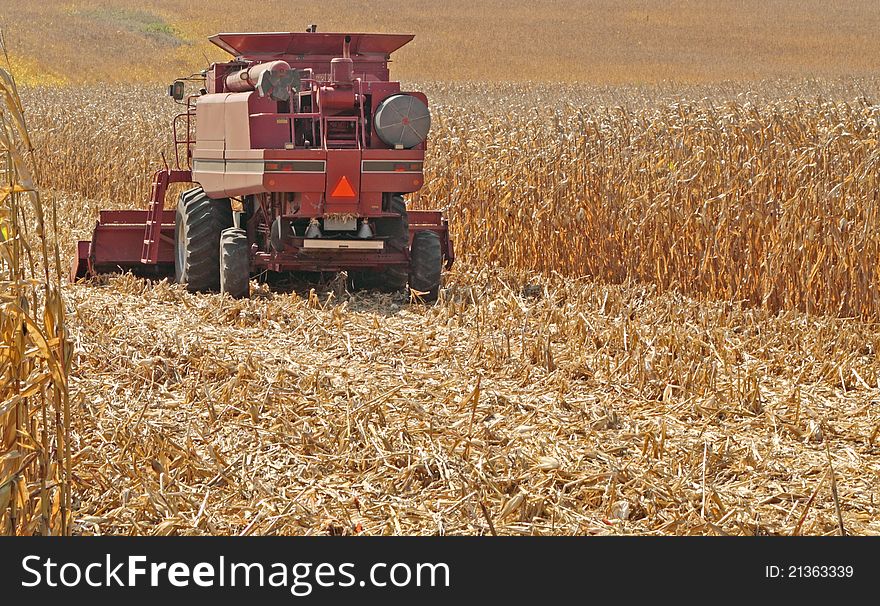 Red farm combine harvesting a field of golden corn. Red farm combine harvesting a field of golden corn