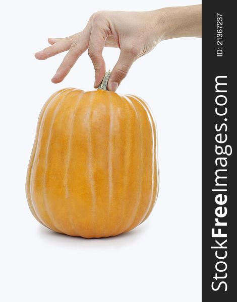 Hand holding a pumpkin by the stalk by two fingers. Isolated on white. Hand holding a pumpkin by the stalk by two fingers. Isolated on white.