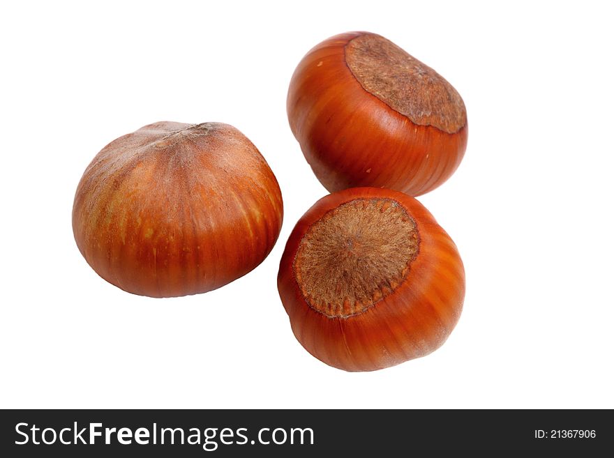 Three hazelnuts isolated on white background