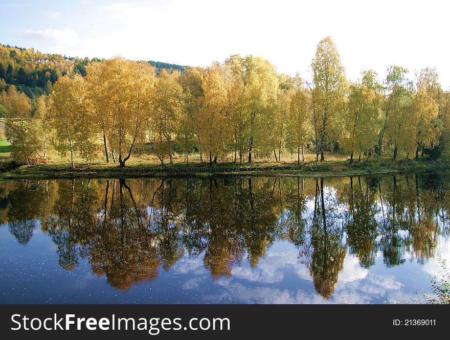 River bank with trees in autumn