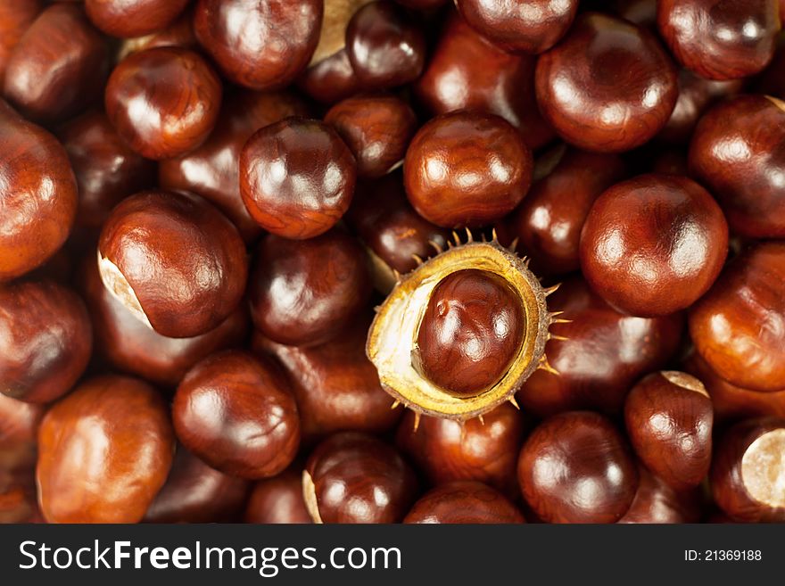 Many beautiful brown shiny brown chestnuts as texture or background. Many beautiful brown shiny brown chestnuts as texture or background