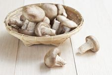 Fresh Mushrooms Royalty Free Stock Photos Fresh Mushrooms Royalty Free Stock Photos