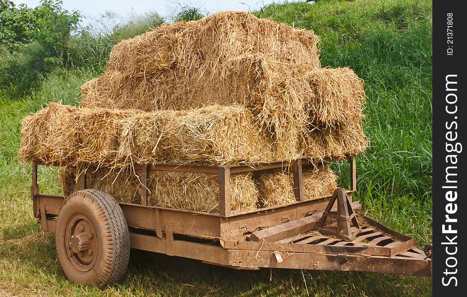 Hay wagon is piled high with fresh cut hay or straw