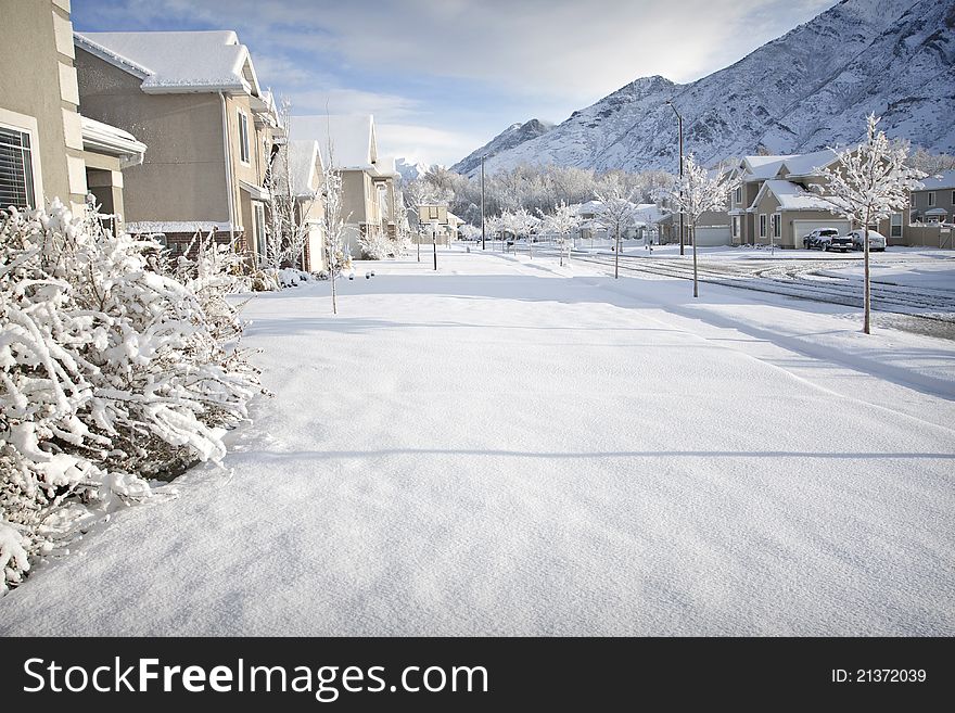 A Suburban city street just after a new snowfall. A Suburban city street just after a new snowfall