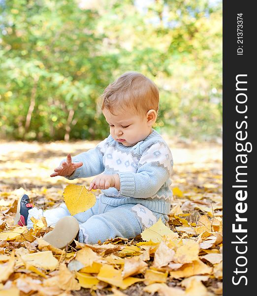 Baby boy sitting in autumn leaves