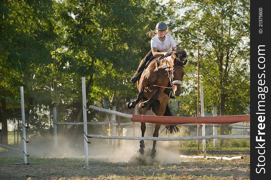 Show jumping.girl riding horse and jumping