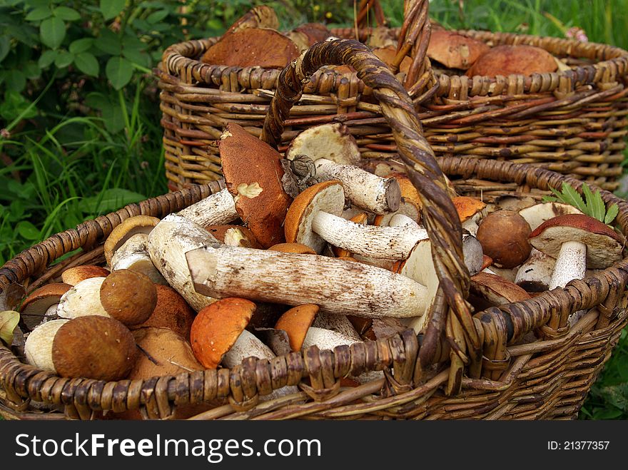 Two baskets of mushrooms