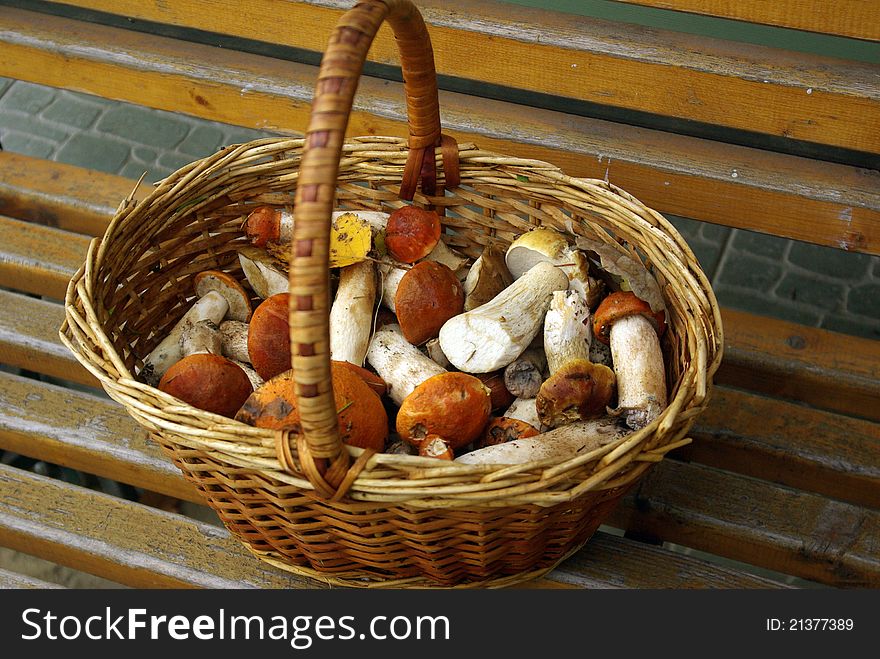 Basket Of Mushrooms