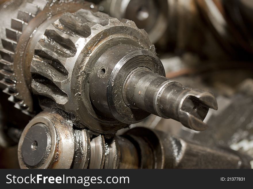 Old grease filled gear - close up. Old grease filled gear - close up