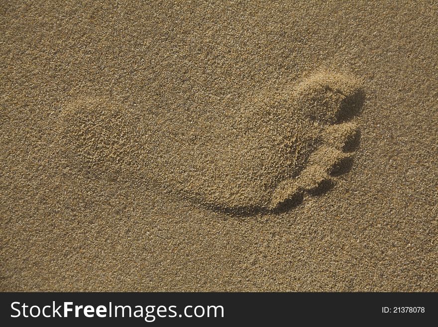 Footprint in golden sand on the shore of the sea. Footprint in golden sand on the shore of the sea