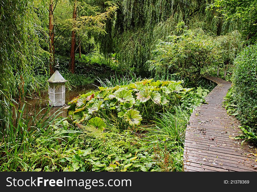 A shaded English woodland garden with boardwalk and pond. A shaded English woodland garden with boardwalk and pond