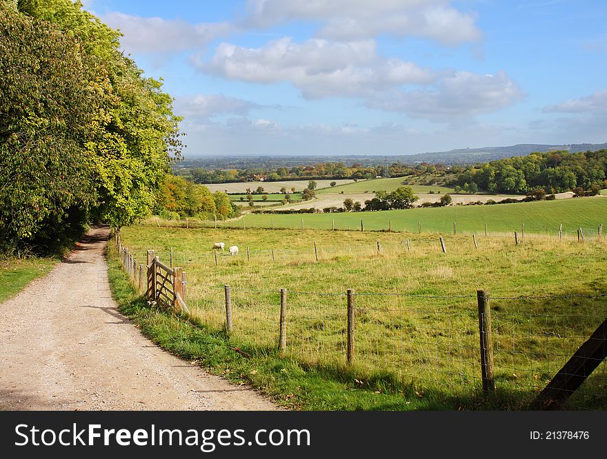 An English Rural Landscape in early Autumn