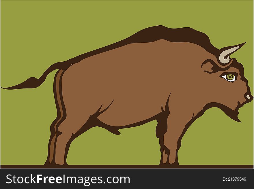 Brown color of wild bison. Brown color of wild bison