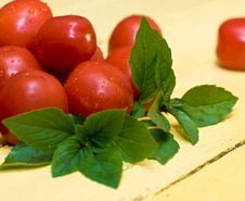 Tomatos And Basil Stock Photos Tomatos And Basil Stock Photos