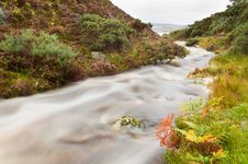 Mountain Stream Royalty Free Stock Images
