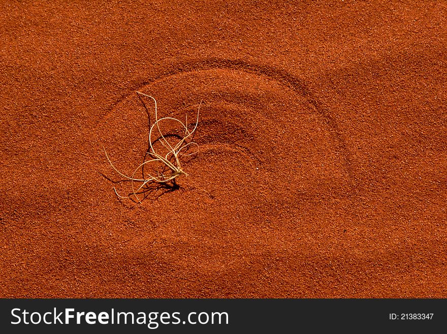 Patterns created by a single grass on a wind-swept sand dune in the Northern Terriroty, Australia