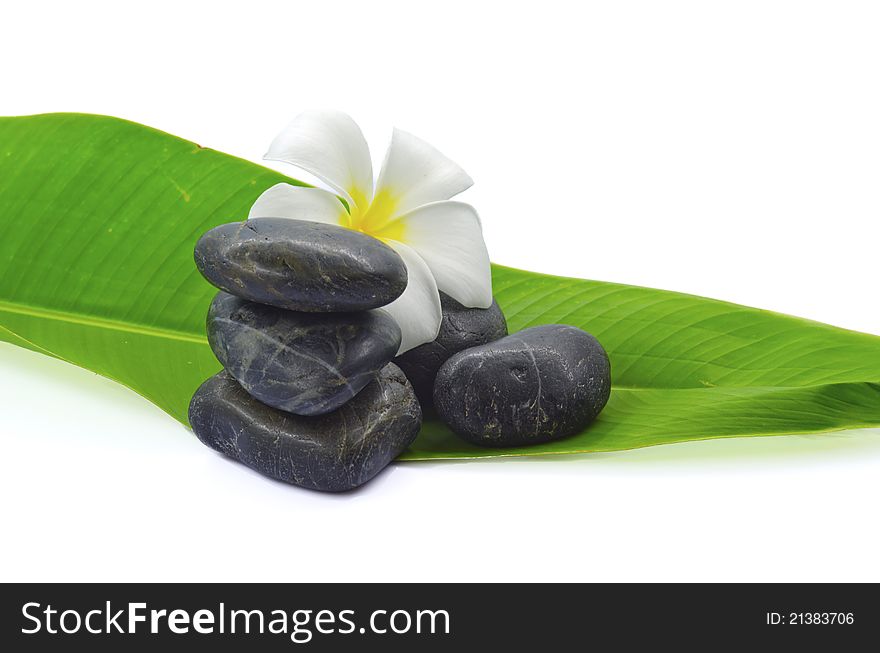 A Plumeria blossoms and black spa stones stacked on turmeric leaf isolated on white background. A Plumeria blossoms and black spa stones stacked on turmeric leaf isolated on white background