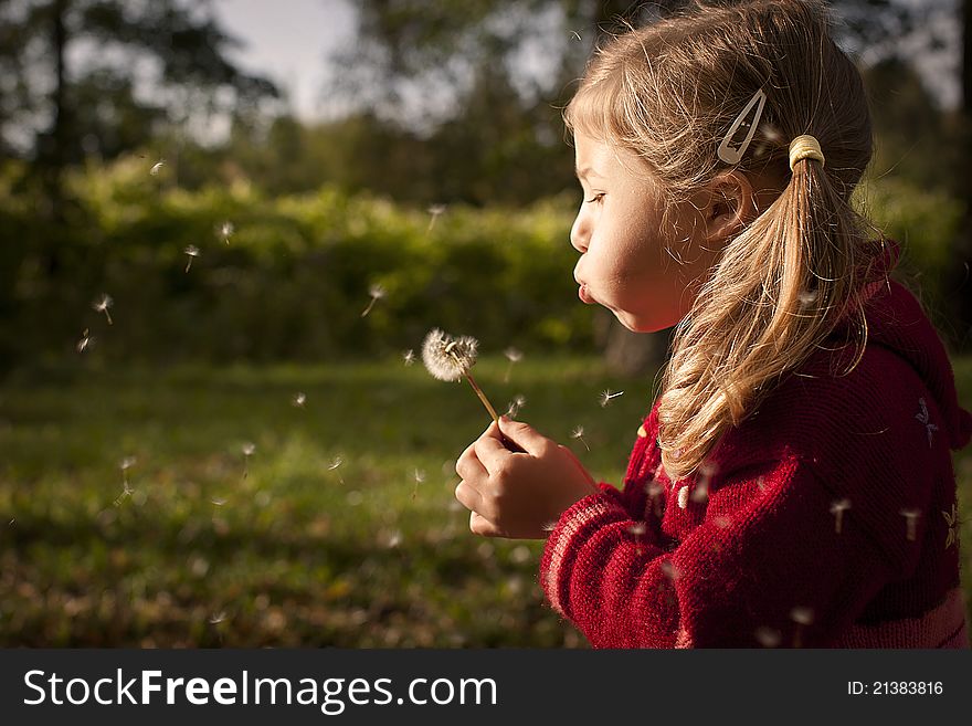 A little girl on a sunny day blowing a dandelion
