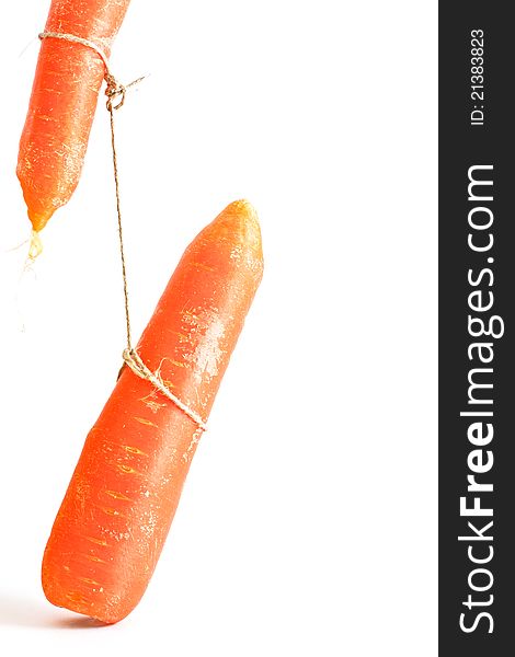 Carrot hanged