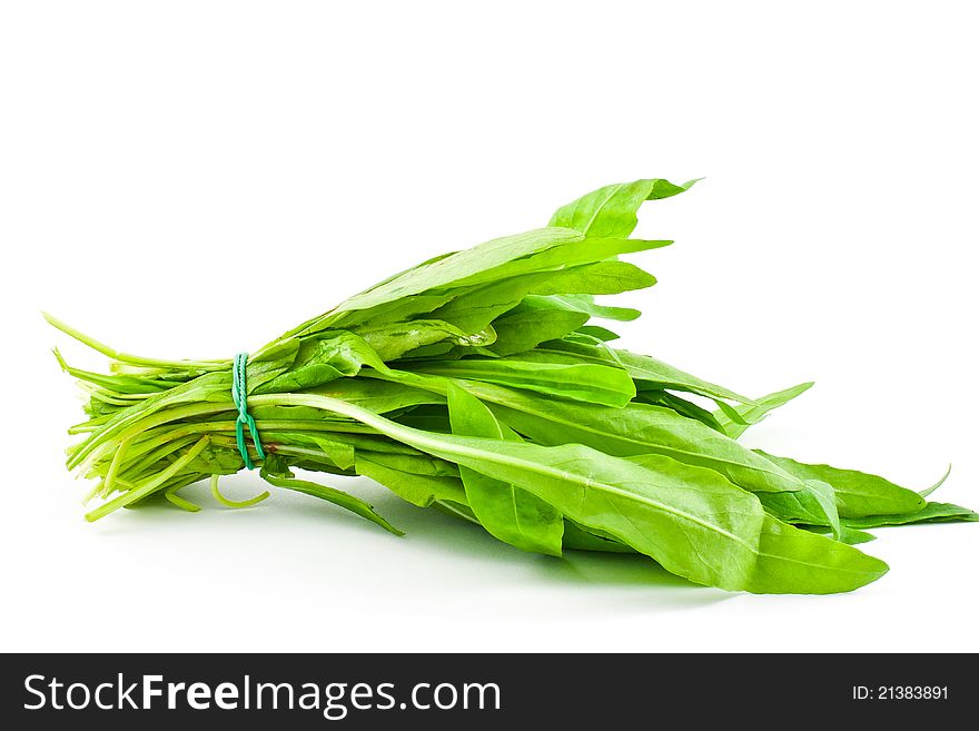 Bunch of fresh rocket of the day. Bunch of fresh rocket of the day