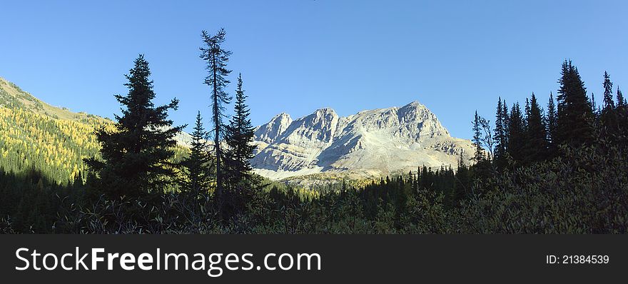 A Mountain Panorama