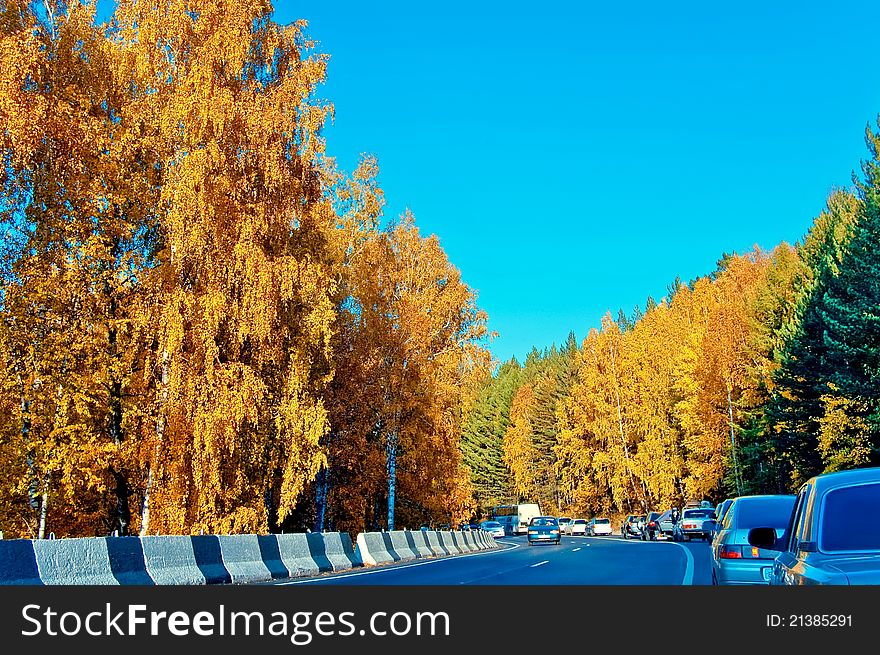 Traffic jam on a country road. Autumn forest along the road. Sunny day. Colorful.