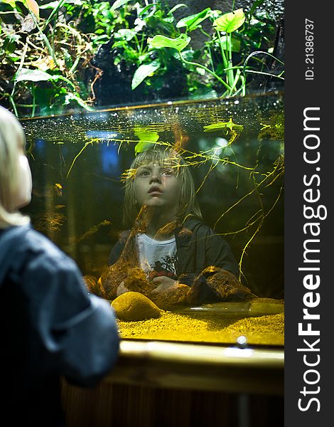 Boy staring at the aquarium. Boy staring at the aquarium