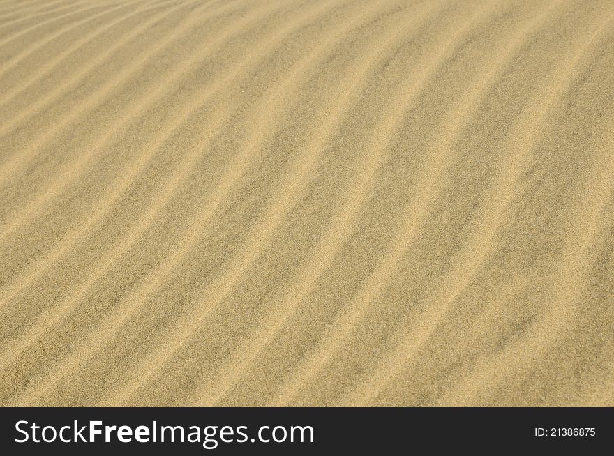 Photo of the Dunes of Maspalomas. Photo of the Dunes of Maspalomas