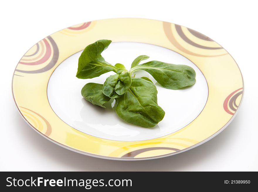 Corn salad on ceramic plate and on white background