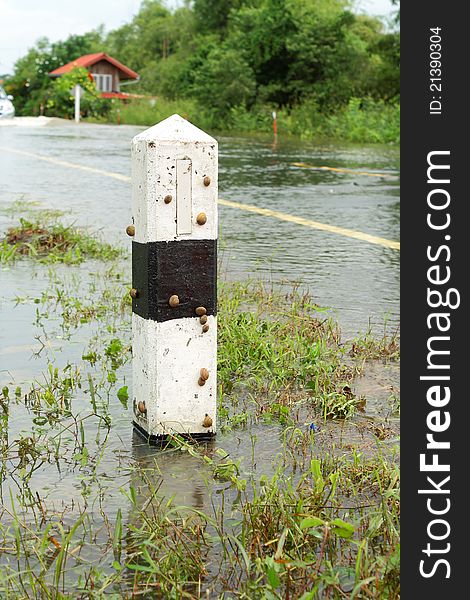 Pole traffic has been flooded, and snails. Pole traffic has been flooded, and snails.