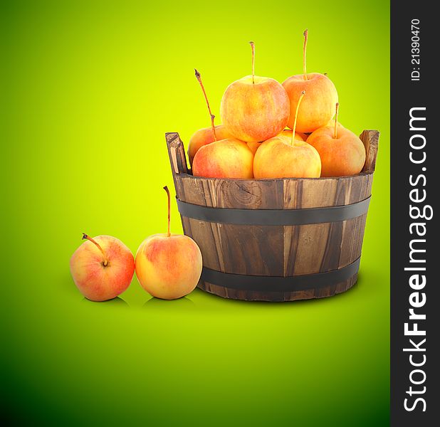 Tiny apples and potted plants on a color. Tiny apples and potted plants on a color.