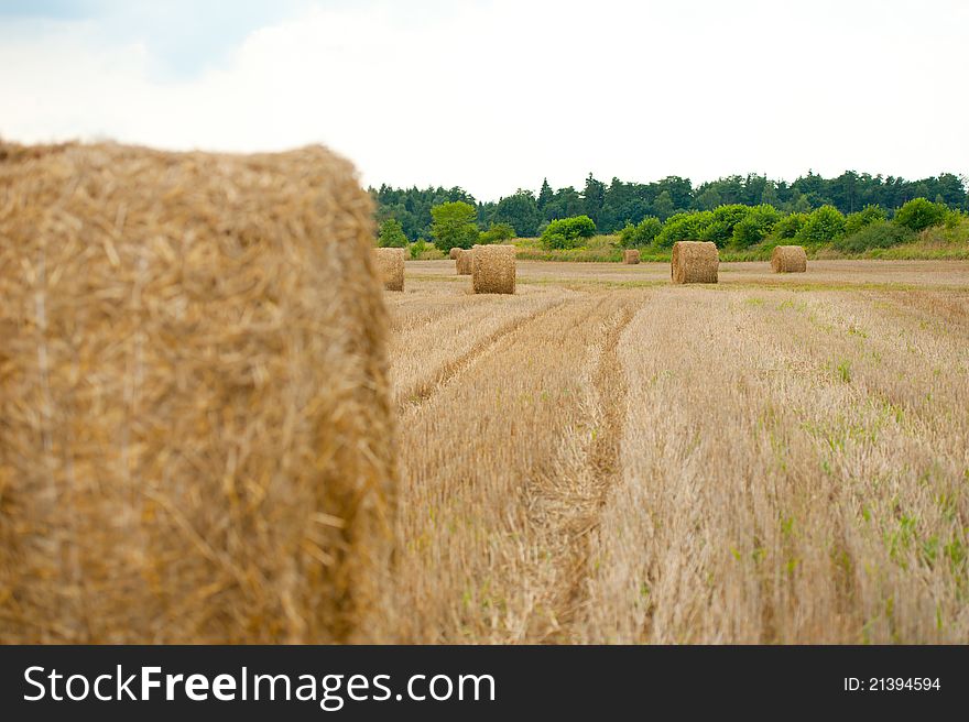 Straw On The Field