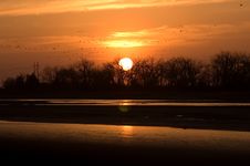 Sunset And Sandhill Cranes Stock Images Sunset And Sandhill Cranes Stock Images