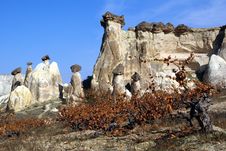 Wineyard In Cappadocia Stock Photo Wineyard In Cappadocia Stock Photo