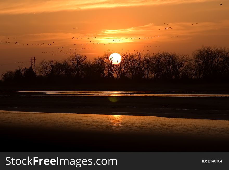 Sunset And Sandhill Cranes