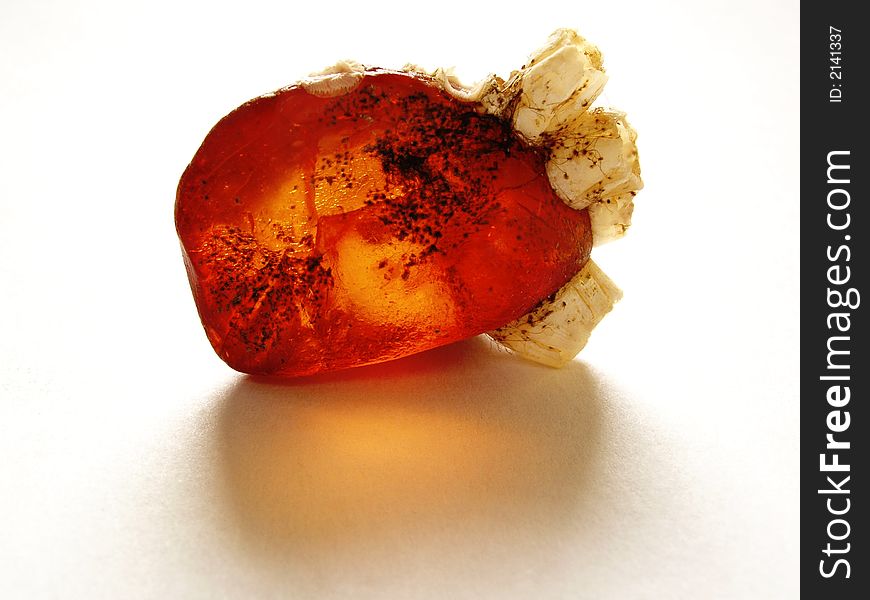 A piece of amber from Baltic Sea. A piece of amber from Baltic Sea