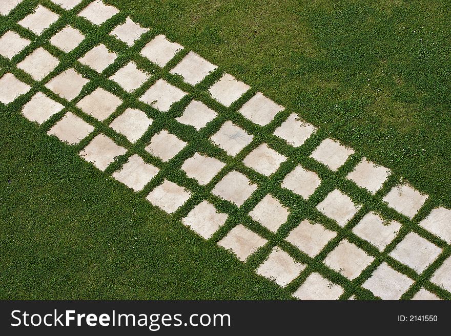 Green grass with flowers, foothpath, walkway. Green grass with flowers, foothpath, walkway