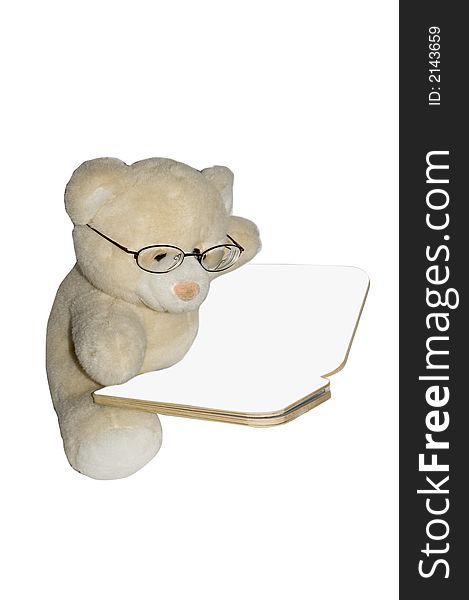 Teddybear reading book with white background