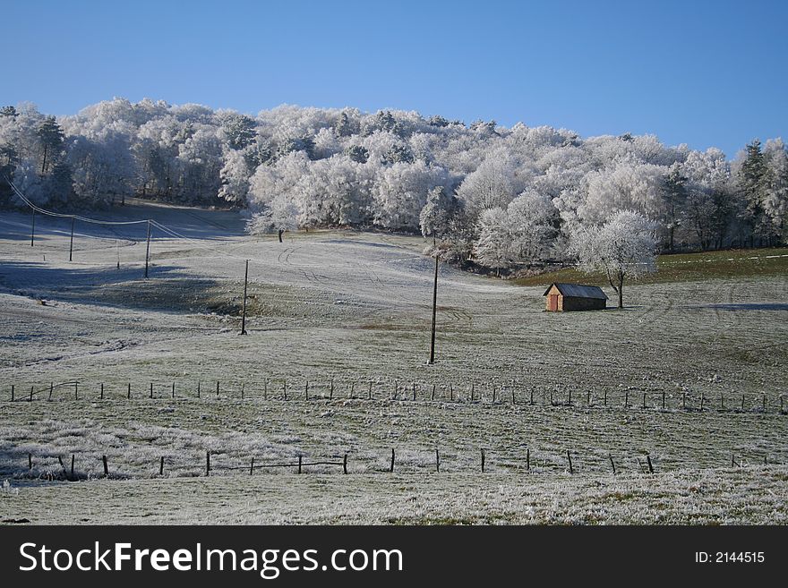 Wintery field with white trees and house. Wintery field with white trees and house