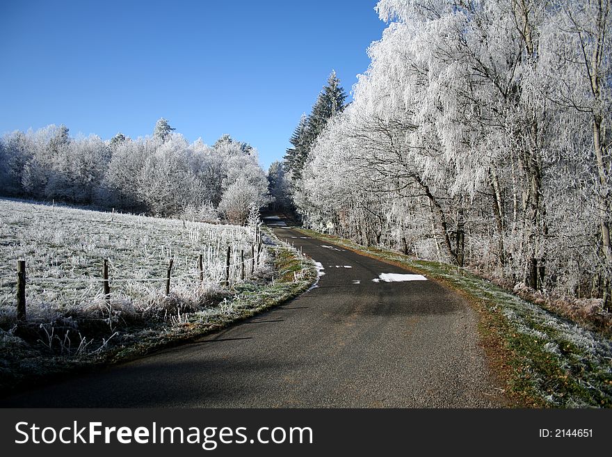 Frozen country lane in winter. Frozen country lane in winter