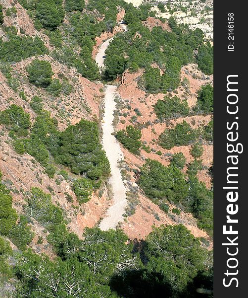 Aerial view of pathway in mediterranean mountain with pines. Aerial view of pathway in mediterranean mountain with pines