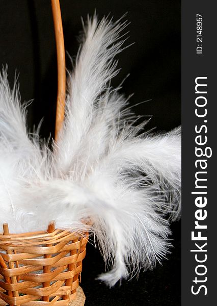 White feahers decorated on natural wicker basket. White feahers decorated on natural wicker basket