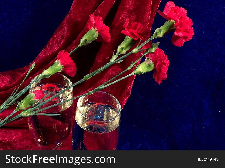 Two glasses of champagne and carnations on the blue velvet