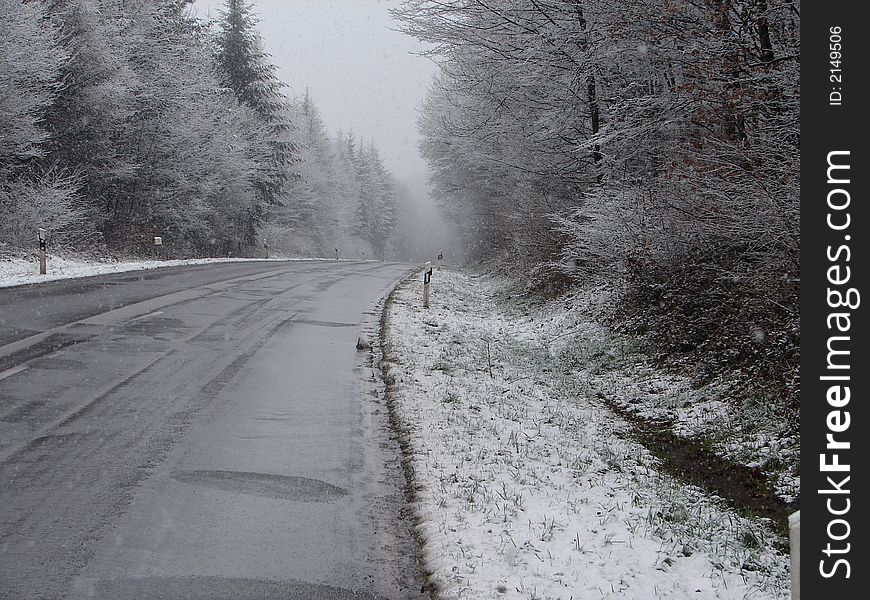 A way with trees in Saarland. A way with trees in Saarland