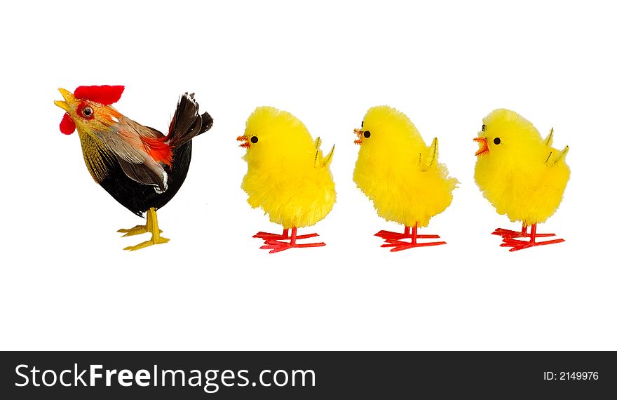 Chicken and three chicklings isolated on white background