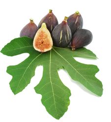 Ripe Purple Fig Fruits And Leaf Royalty Free Stock Images Ripe Purple Fig Fruits And Leaf Royalty Free Stock Images
