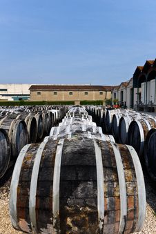 Wine Barrels Royalty Free Stock Photo Wine Barrels Royalty Free Stock Photo